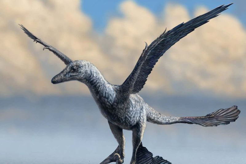 Fossil Evidence Shows How Dinosaurs Vanished And Birds Took Over