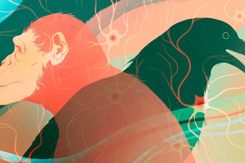Why Intelligence Evolved Without A Neocortex
