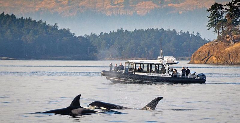 San Juan Islands, Washington
