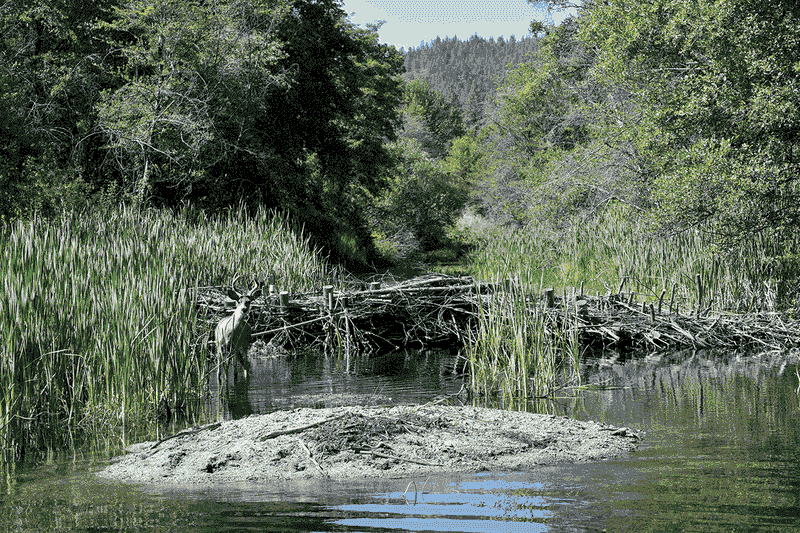 The Target: Reviving The Price And San Rafael Rivers