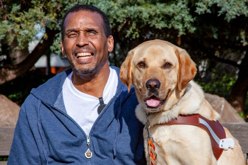 Guide Dogs