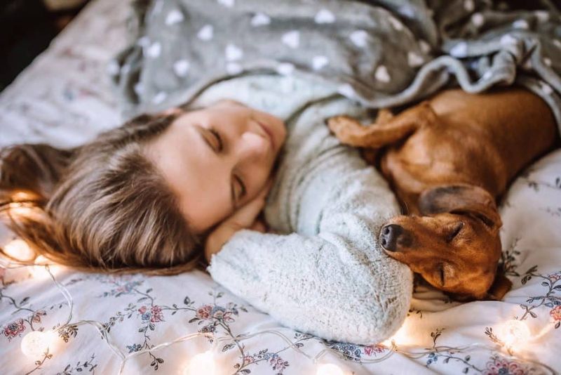 They Sleep Touching You