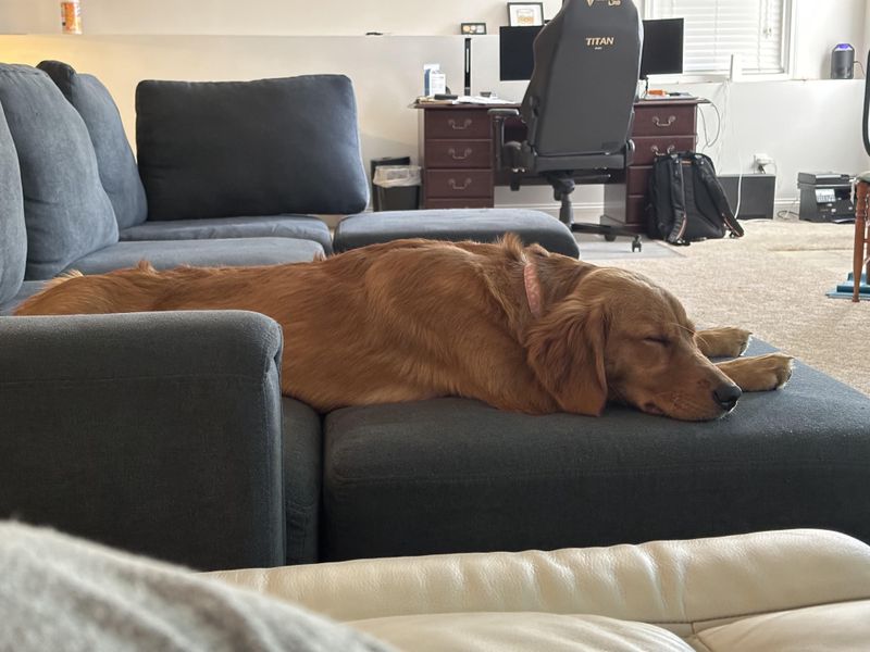 They Position Themselves To Watch You