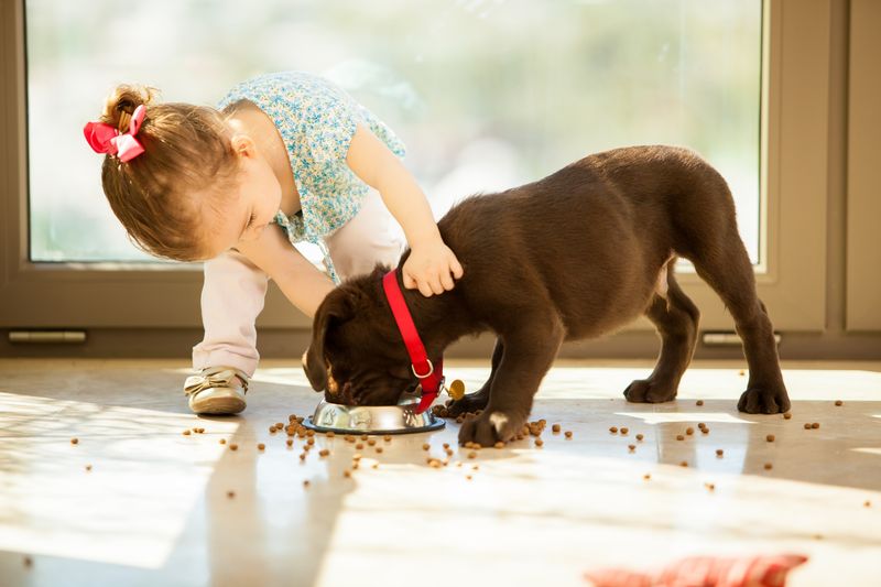 Teaching Responsibility And Empathy