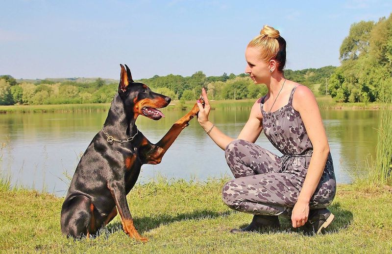 Guardian Angels With Wagging Tails
