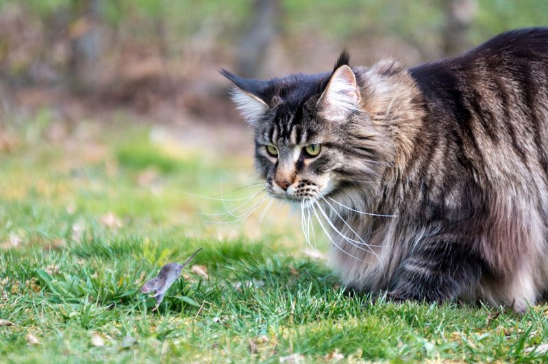 The Hunter's Instinct