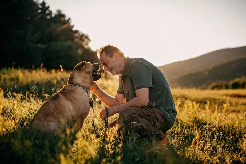 Dogs Offer Us The Best Companionship