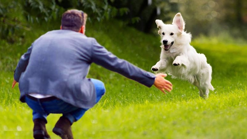 They Respond Dramatically To Your Return