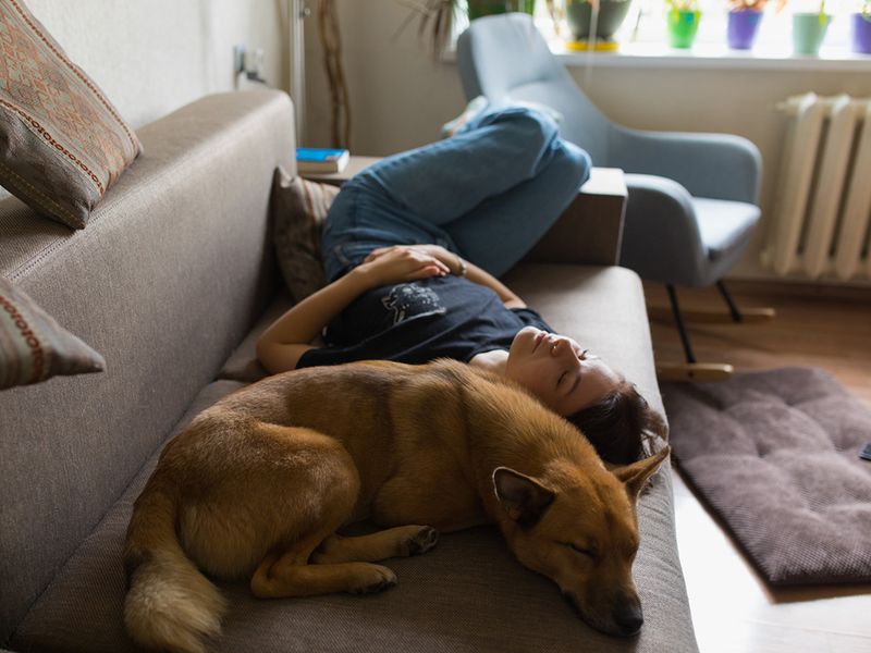 They Align Their Sleep Schedule With Yours