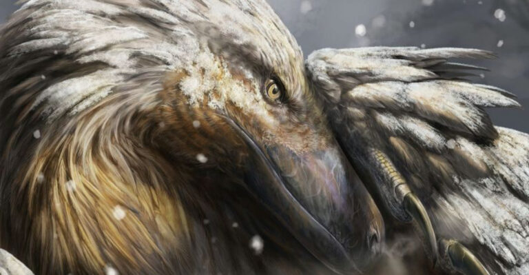 Things Science Got Wrong About Dinosaurs