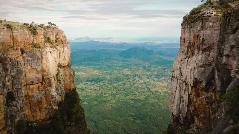 Researchers Think There May Be Even More New Species