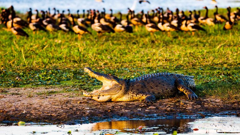 Kakadu National Park, Australia