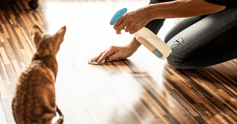 Household Cleaners