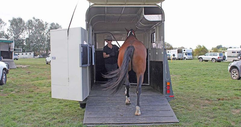 Trailer Training Sessions
