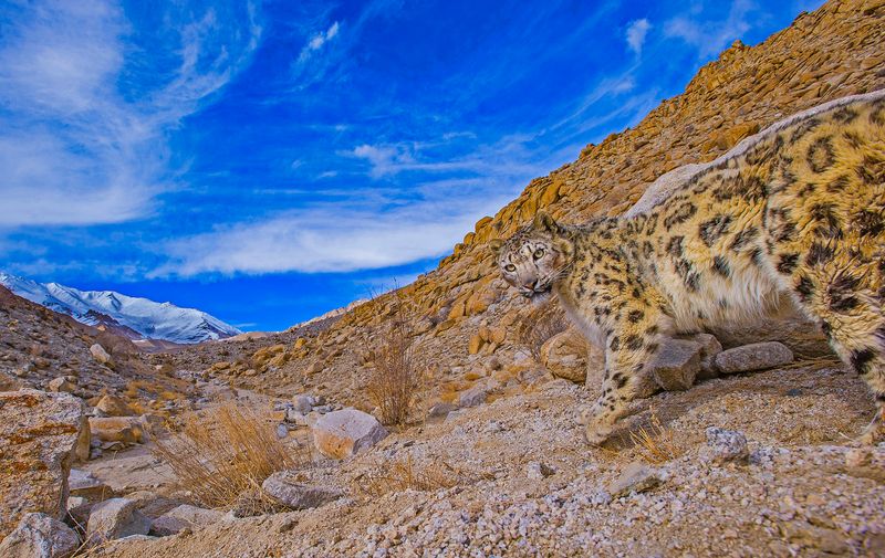 Climate Change Is Disrupting Ecosystems