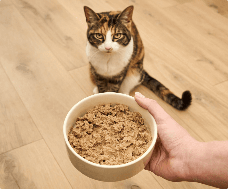 Add Moisture To The Food