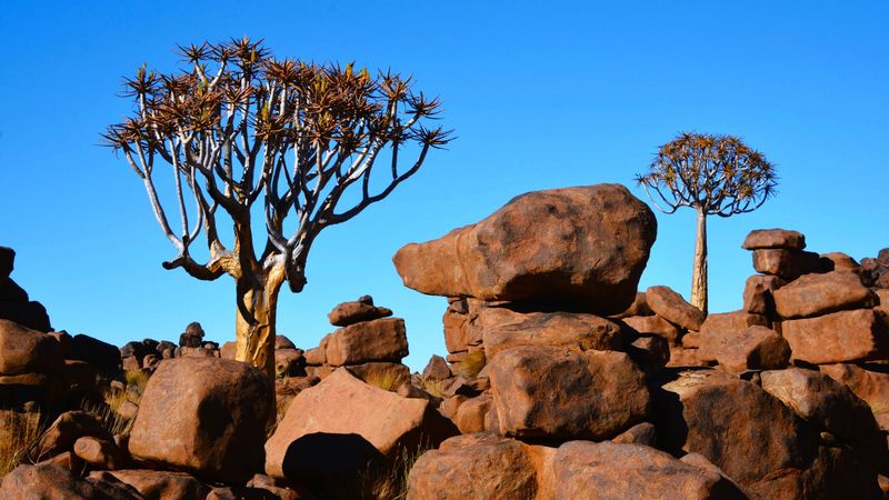 No Known Geological Process Explains Them