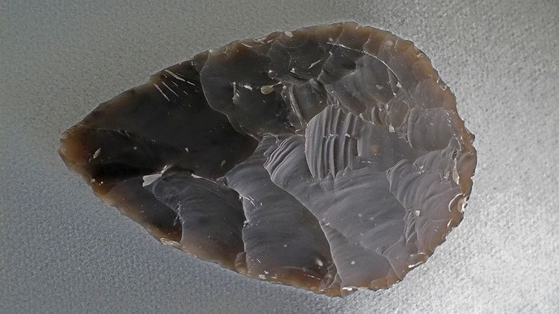 The Significance Of The Flint Arrowhead Embedded In The Rib