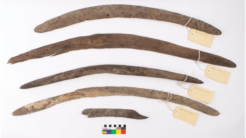Craftsmanship And Design Of The Prehistoric Boomerang
