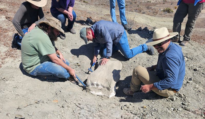 A Marsupial Mystery Dating Back 60 Million Years