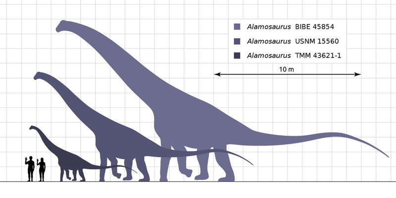 Giant Among Giants