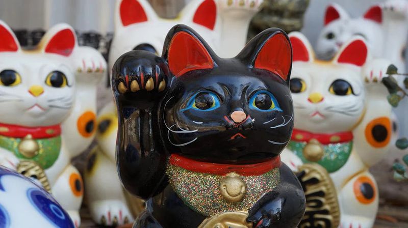 The Japanese Maneki-Neko Contrast