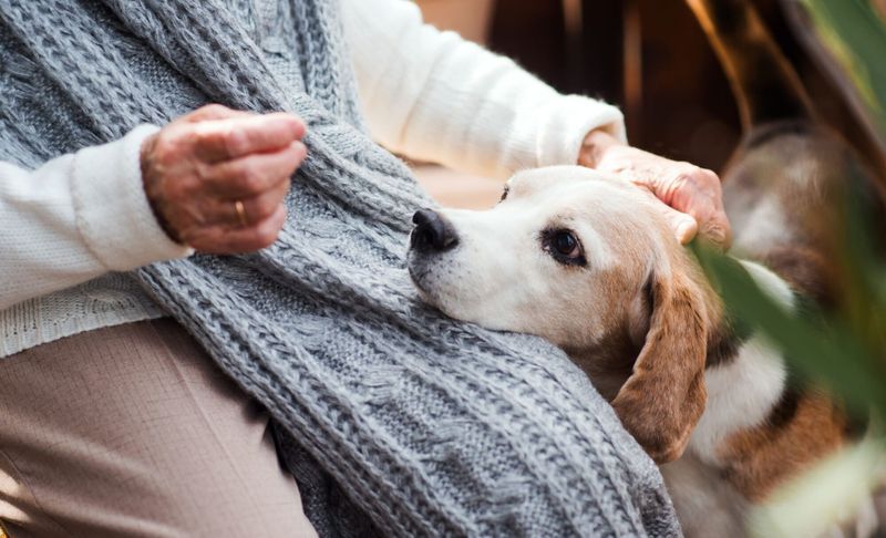 Unusual Sensitivity To Touch