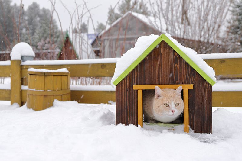 Failing To Provide Outdoor Shelter
