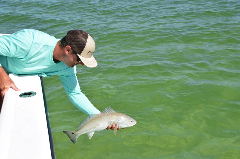 Why Proper Fish Handling Matters For Conservation