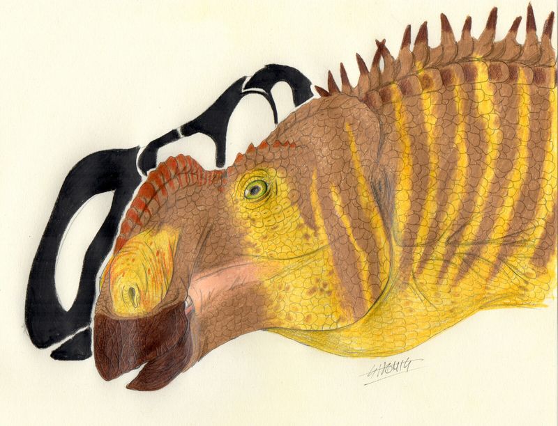 Big-Nosed But Not Alone
