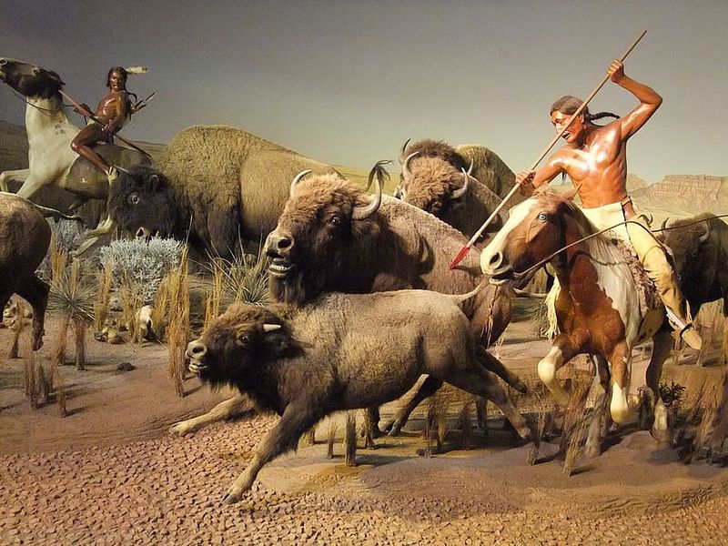 Bison In Native American Ceremonies
