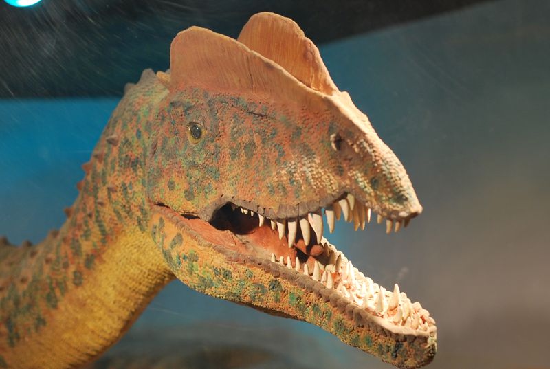 Those Twin Crests Were Real – And Spectacular