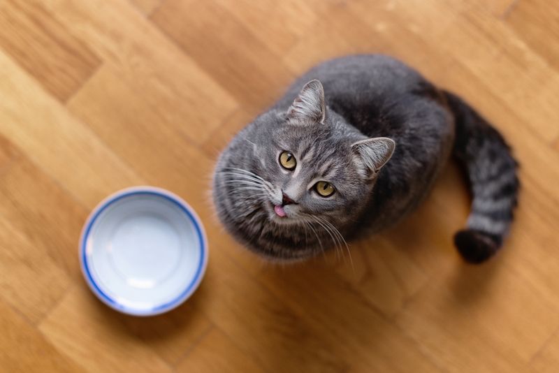 Use A Shallow, Wide Dish