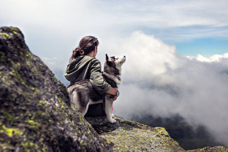 Colorado's Mountain Companions