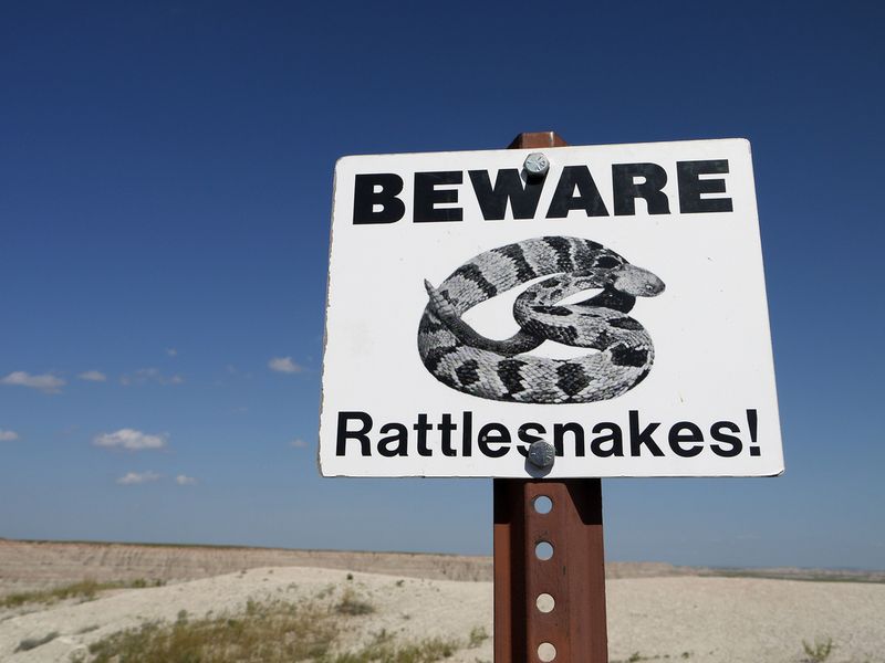 Stay Alert On Trails – Watch Where You Step And Reach