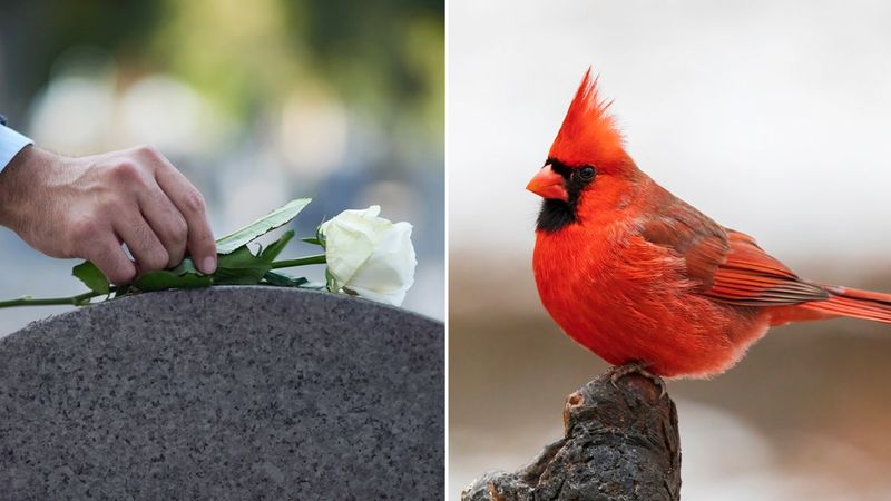 Spiritual Messengers From Departed Loved Ones