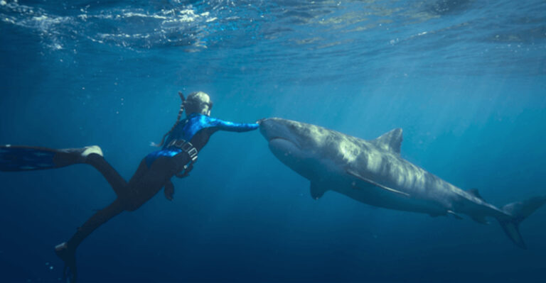 What Ocean Ramsey Wants You To Know About Sharks And Their Role In Our Oceans