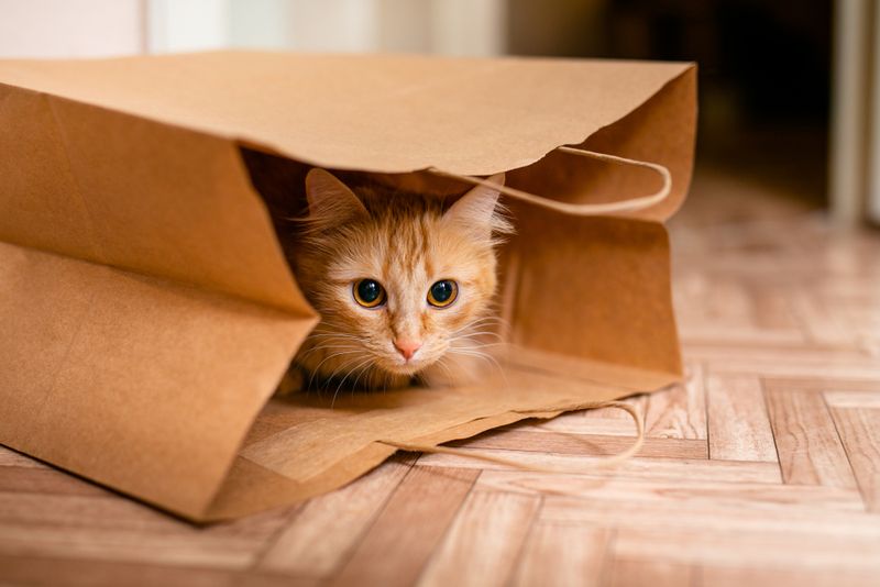 The Hiding Phase