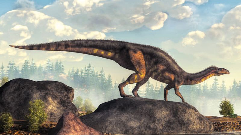 Why Wyoming's Fossil Discovery Is Important For Dinosaur Research