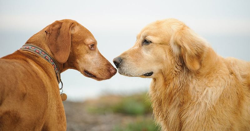 Knowing When Separation Is Necessary