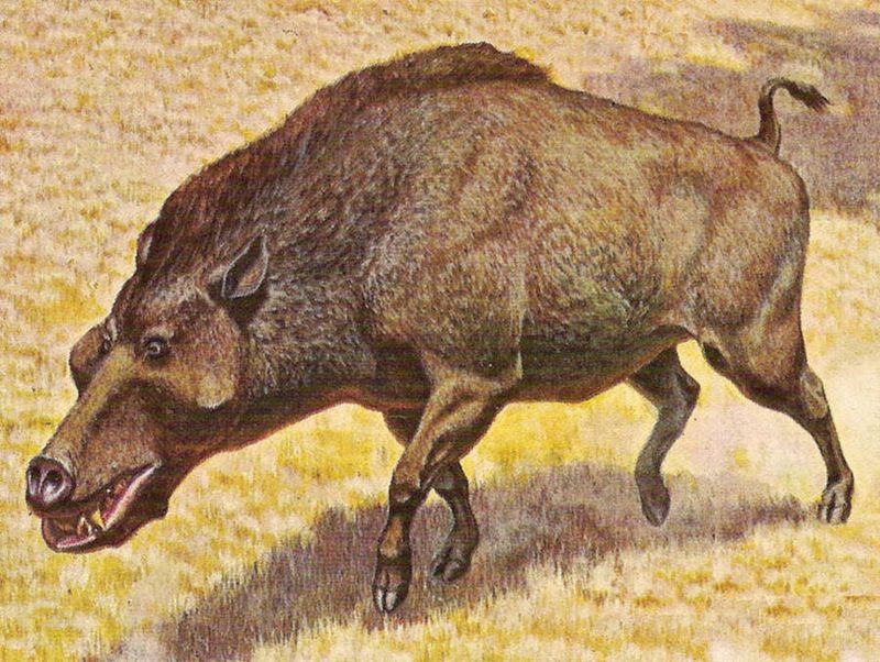 What They Ate Might Surprise You