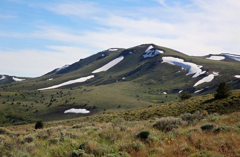 The Best Places To Spot Scorpions In Oregon's Wilderness