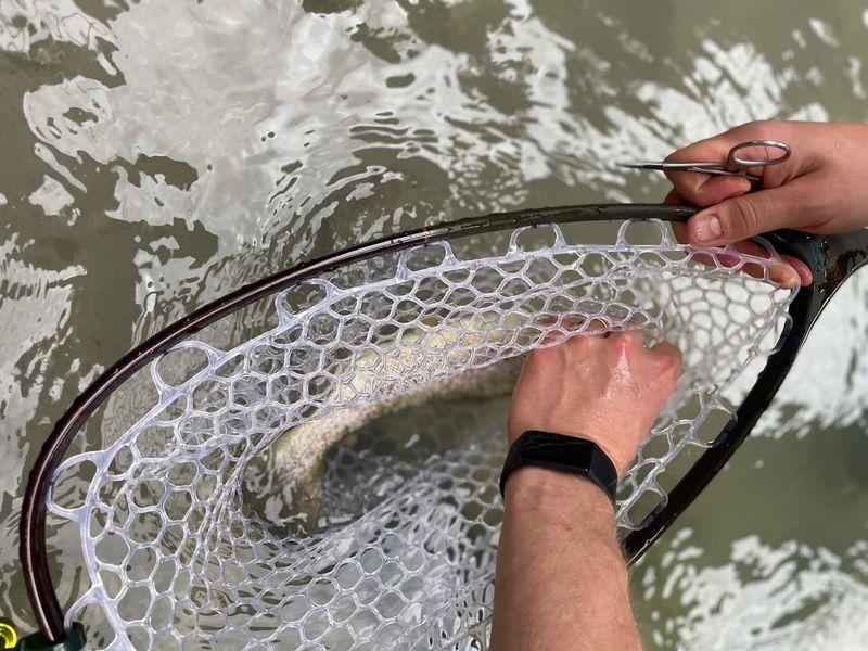 Using Fish-Friendly Tools To Handle Your Catch Safely