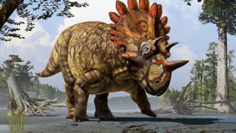 Other Ways Dinosaurs Could Have Communicated