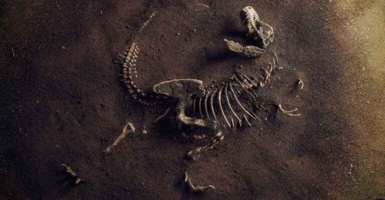 Why So Many Fossils Are Found In The Same Spots Known As Dino Graveyards