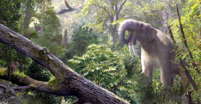 Why South America’s Forests Still Haven’t Recovered From Losing Mastodons