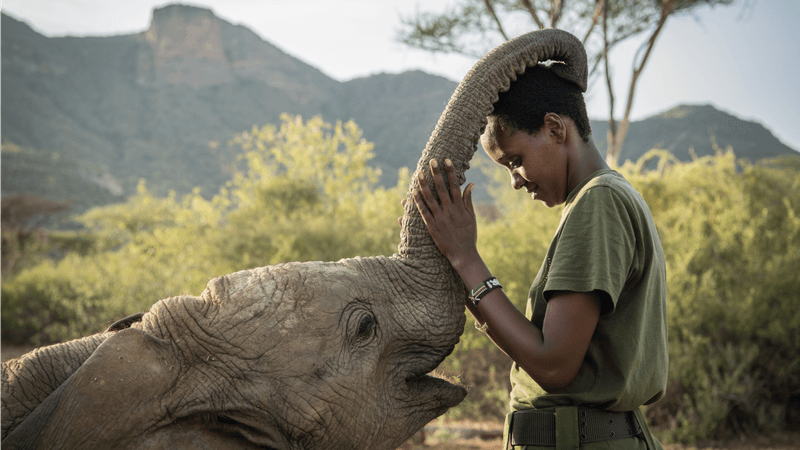 Reteti Elephant Sanctuary In Kenya