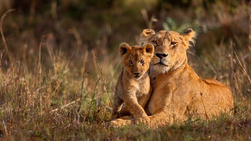 Kruger National Park, South Africa