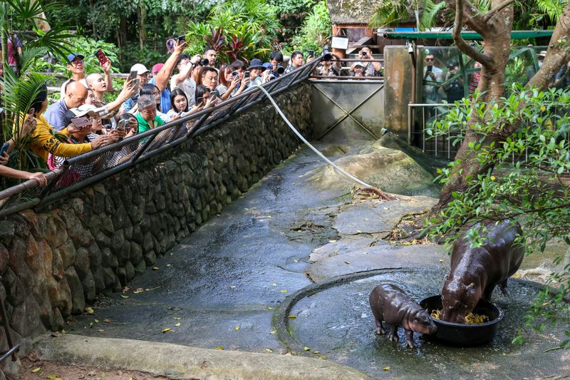 Tourism Explosion