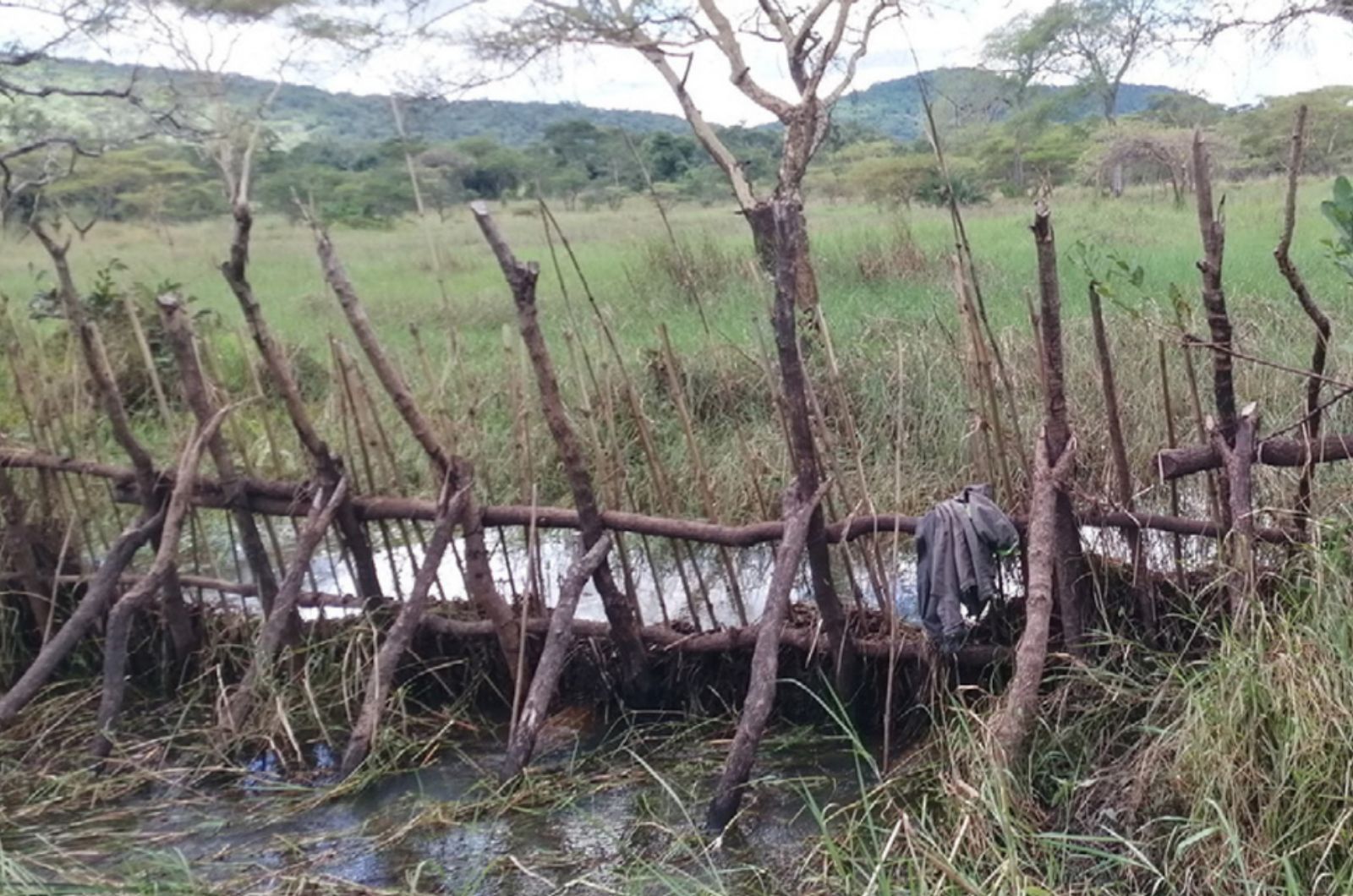 temporary ponds of the Democratic Republic of the Congo